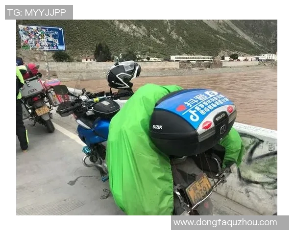 空中大灌篮的热血青春与梦想追逐之旅