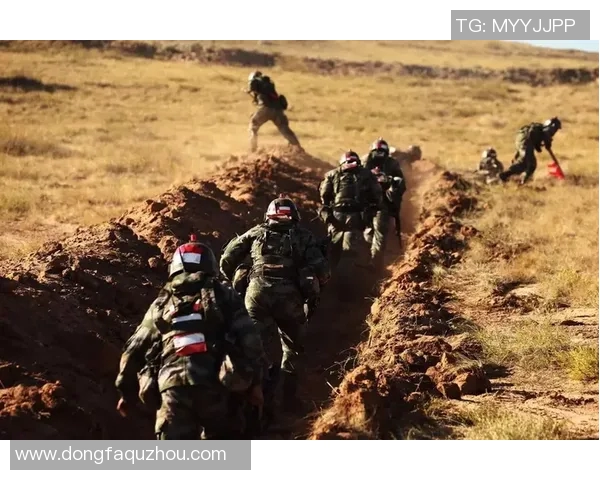 狼队与布城2017年对决回顾：激情碰撞与战术较量的精彩瞬间