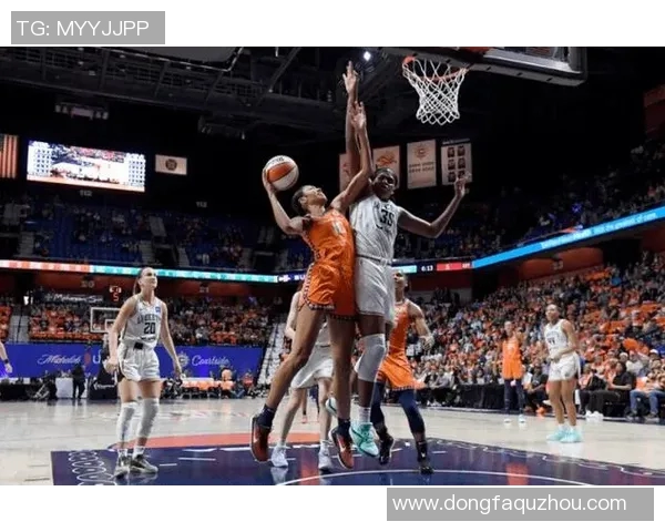 自由人对太阳比赛前瞻分析及胜负预测探讨