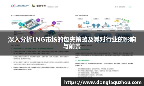深入分析LNG市场的包夹策略及其对行业的影响与前景