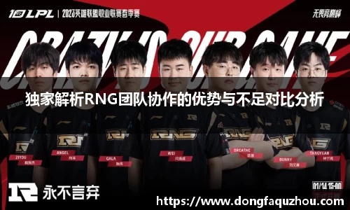 独家解析RNG团队协作的优势与不足对比分析
