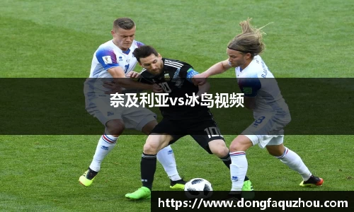奈及利亚vs冰岛视频
