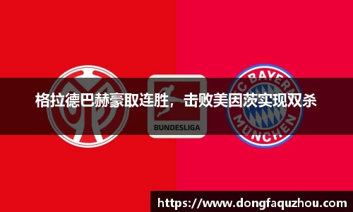RAYBET雷竞技APP